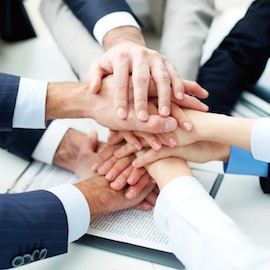 Meet Our Team